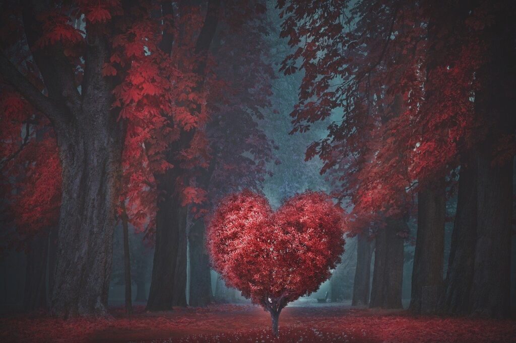valentine, heart, forest